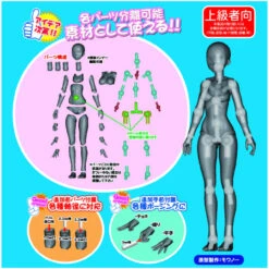 Hobby Base PPC-T46 Premium Parts Collection SOZAI-chan (Tanned) 1/12 Scale -Japan Figure shop 4534966003738 d5a7c8fa051506f05cf40abfc88a8193 72327.1562130833
