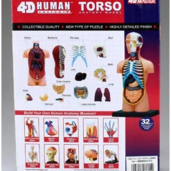 Aoshima 78112 4D Vision Human Anatomy Model No.1 Torso Non-scale Kit -Japan Figure shop 4905083078112 0f08405b8e7edec6b20028283c064b1e 50381.1562309679