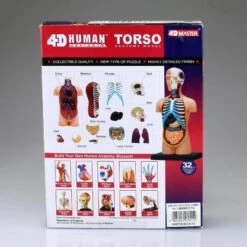 Aoshima 78112 4D Vision Human Anatomy Model No.1 Torso Non-scale Kit -Japan Figure shop 4905083078112 79e97a9db01d268835f4cf05ede758f3 70851.1562309682