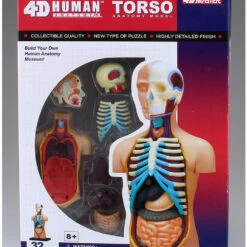Aoshima 78112 4D Vision Human Anatomy Model No.1 Torso Non-scale Kit -Japan Figure shop 4905083078112 ff86cb58a9917bdbe45f0127cecf271e 31277.1562309677