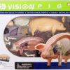 Aoshima 78211 4D Vision No.1 Pig Anatomy Model Non-scale Kit