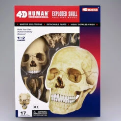 Aoshima 80184 4D Vision Human Anatomy Model No.23 Head 1/2 Scale Kit -Japan Figure shop 4905083080184 a95ade07022545b3317ea3cf7dceec72 20993.1562573594