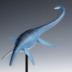 Wave 1/35 Futabasaurus Easy Assemble Plastic Model -Japan Figure shop 4943209260317 28b75cbe4a9cacb887b9db7a68b37a18 06908.1668147619