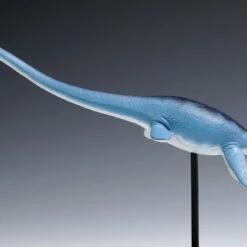 Wave 1/35 Futabasaurus Easy Assemble Plastic Model -Japan Figure shop 4943209260317 2d9b59937998d3a86d5c523e41f7383e 51203.1668147618