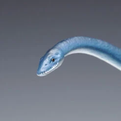 Wave 1/35 Futabasaurus Easy Assemble Plastic Model -Japan Figure shop 4943209260317 3f59f7929259ecdb49edc1d8dff6e016 37927.1668147622