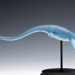 Wave 1/35 Futabasaurus Easy Assemble Plastic Model -Japan Figure shop 4943209260317 ce3328261e59e8b887ebc55368c2cd98 25179.1668147621