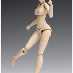 Wave SR021 Movable Body Female Type Standard 1/12 Scale Kit -Japan Figure shop 4943209280216 025da5a53117f32b89b83e589e93d15a 29197.1559108301