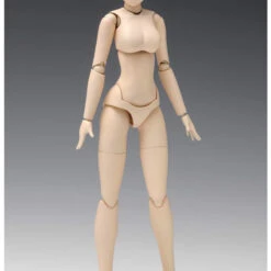 Wave SR021 Movable Body Female Type Standard 1/12 Scale Kit -Japan Figure shop 4943209280216 0e13b3acaa9ec5ad42a69a52956016bc 17178.1559108299