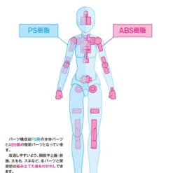 Wave SR021 Movable Body Female Type Standard 1/12 Scale Kit -Japan Figure shop 4943209280216 276c9c993e2cbccc68af0da428cd8af6 51551.1559108303