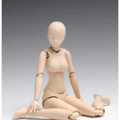 Wave SR021 Movable Body Female Type Standard 1/12 Scale Kit -Japan Figure shop 4943209280216 300816c7d52b95e3774d4549c5ae801a 47843.1559108302