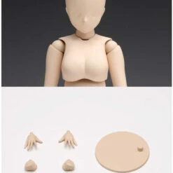 Wave SR021 Movable Body Female Type Standard 1/12 Scale Kit -Japan Figure shop 4943209280216 3e6987b455948f997992099daf6a850b 47410.1559108302