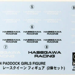 Hasegawa 1/24 Figure Collection 09 Racing Queen 2 Girls Set Plastic Model -Japan Figure shop 4967834291096 d73b8a628f82f1d38ba5e4fec1c05164 89263.1673335329