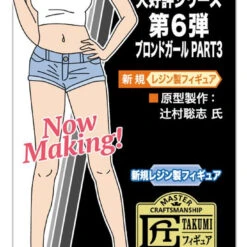 Hasegawa 12 Real Figure Collection No.06 Blonde Girl Vol.3 Figure Kit (1/12 Scale) -Japan Figure shop 4967834522848 daa709ecb3df7631949d771c4aa2f50a 13687.1620978156