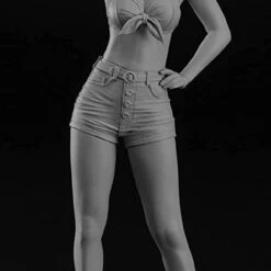 Hasegawa 1/12 Real Figure Collection No.12 Pinup Girl Plastic Model -Japan Figure shop 4967834523074 66c562ab449585017a87564bca3d583d 72102.1640160428