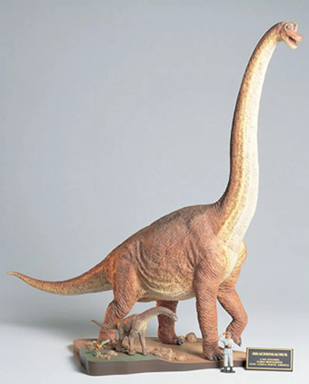Tamiya 60106 Brachiosaurus Diorama Set 1/35 Scale Kit 3 Tamiya 60106 Brachiosaurus Diorama Set 1/35 Scale Kit - Image 3